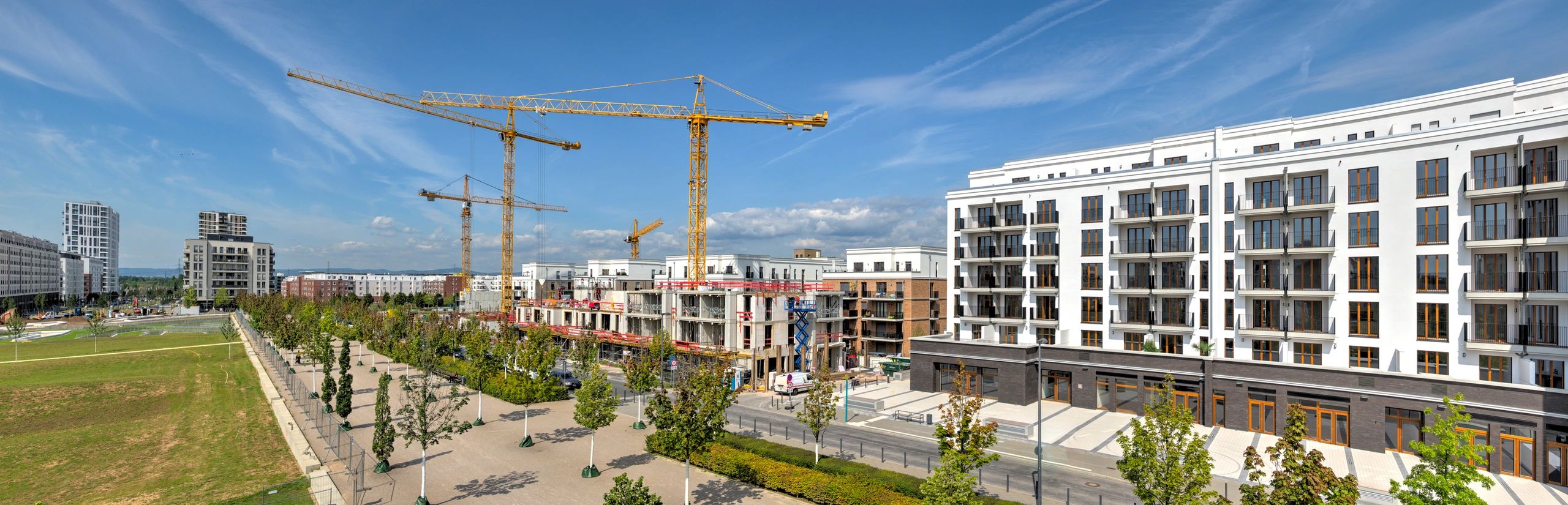 Construction site with cranes